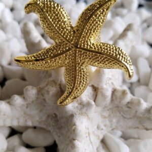 StarFish Pin