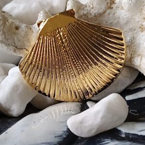 Sea Shell Pin